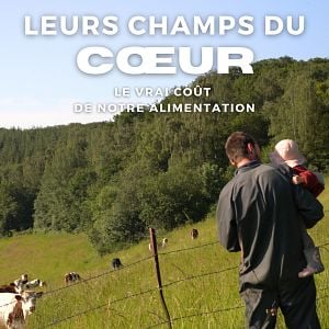 Affiche le Chant des forêtes