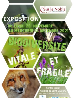 Les expositions Ombelliscience 2021