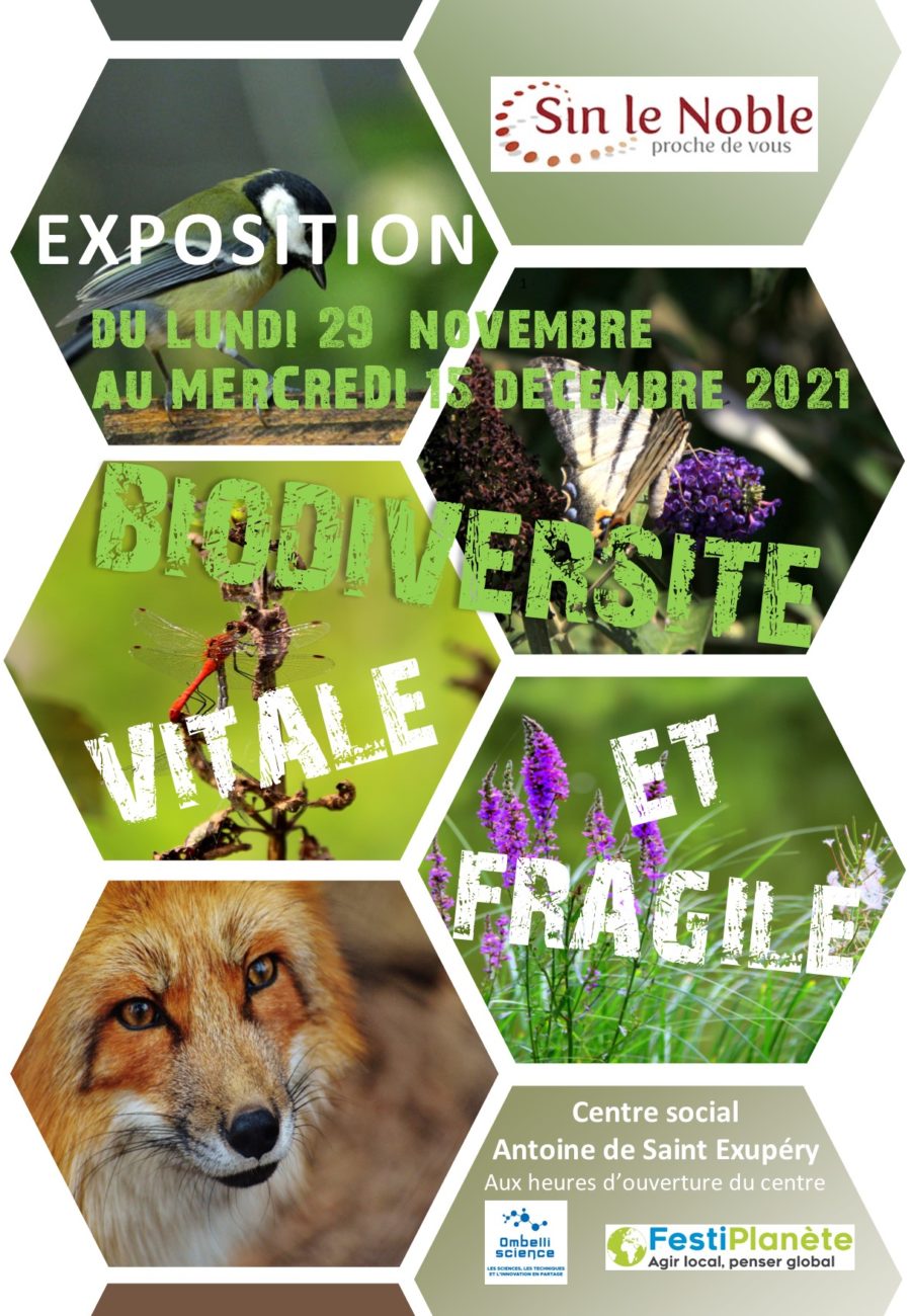 Les expositions Ombelliscience 2021
