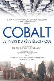 Cobalt, l’envers du rêve électrique