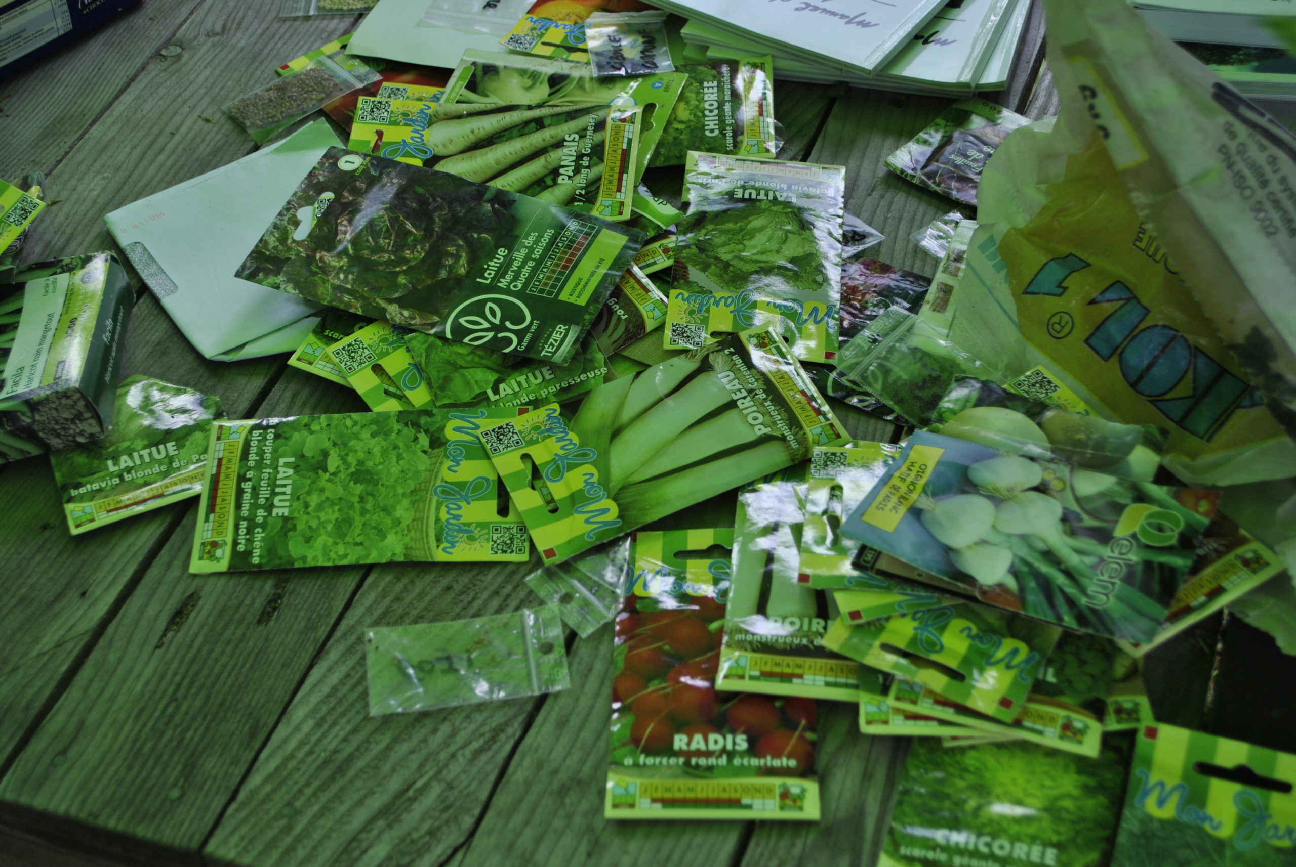 Festiplanète_ Festiplanète_