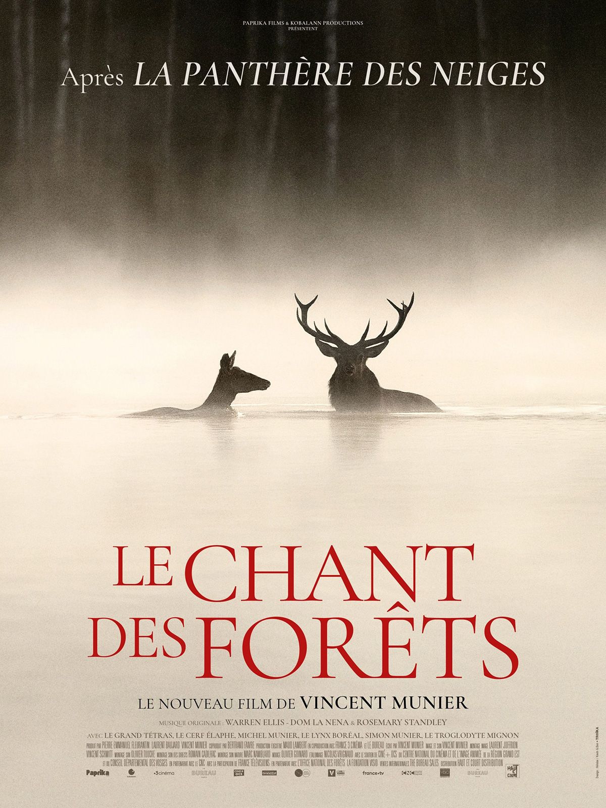 Affiche le Chant des forêtes