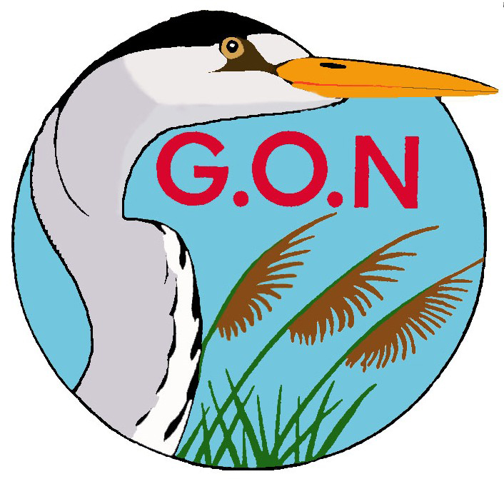 Logo du GON